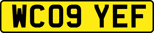 WC09YEF