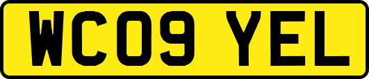 WC09YEL
