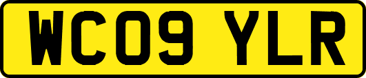 WC09YLR