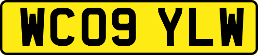 WC09YLW