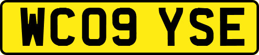 WC09YSE