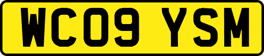 WC09YSM
