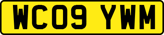 WC09YWM