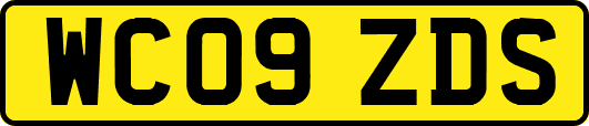 WC09ZDS