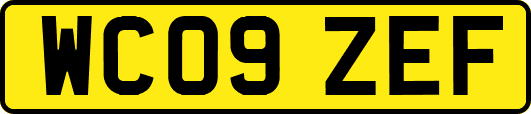 WC09ZEF