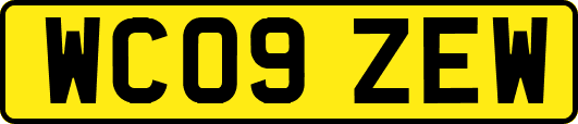 WC09ZEW