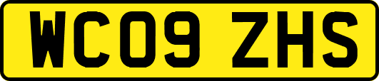 WC09ZHS