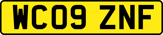 WC09ZNF