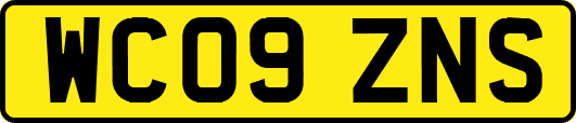 WC09ZNS