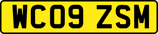 WC09ZSM