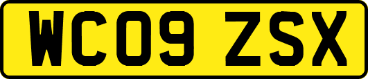 WC09ZSX