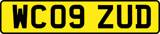 WC09ZUD