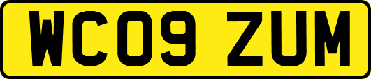 WC09ZUM