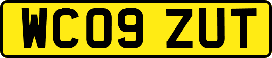WC09ZUT