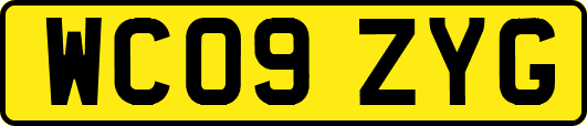 WC09ZYG