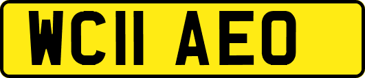 WC11AEO