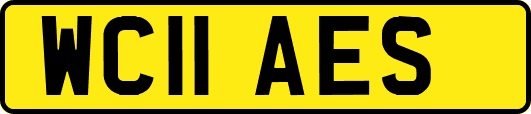 WC11AES