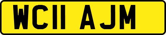 WC11AJM