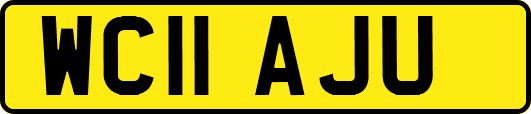 WC11AJU