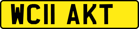 WC11AKT