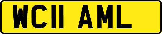 WC11AML