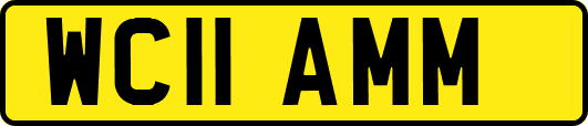WC11AMM