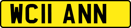 WC11ANN