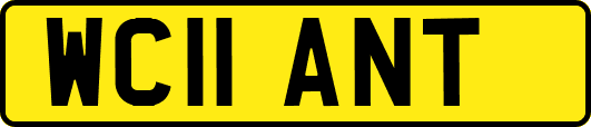 WC11ANT