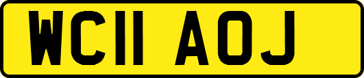 WC11AOJ