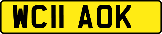 WC11AOK