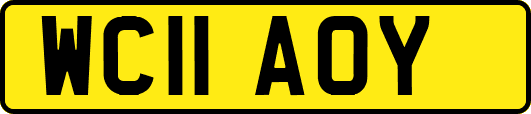 WC11AOY