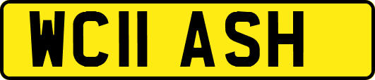WC11ASH