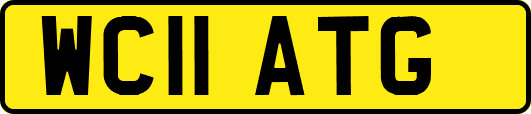 WC11ATG