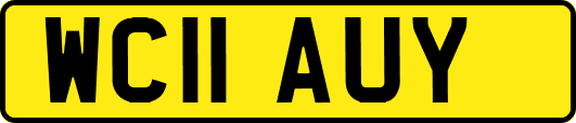 WC11AUY