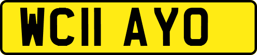 WC11AYO