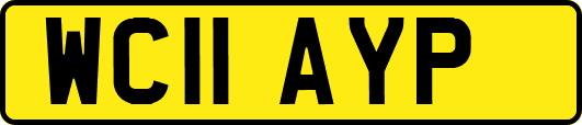 WC11AYP