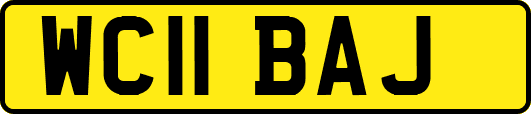 WC11BAJ