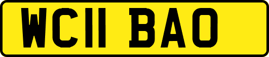 WC11BAO