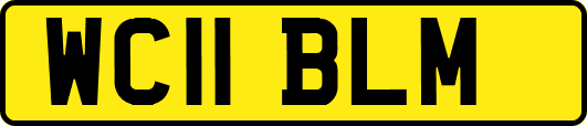 WC11BLM