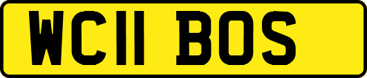 WC11BOS