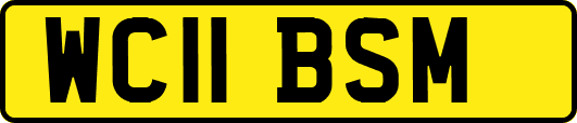 WC11BSM