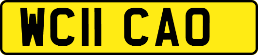 WC11CAO
