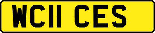 WC11CES