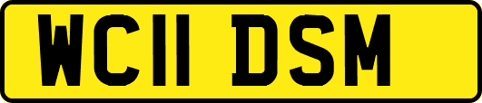 WC11DSM
