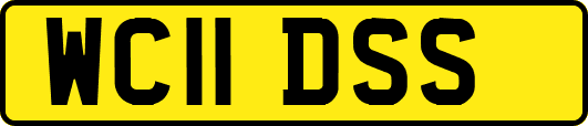 WC11DSS
