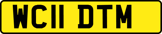 WC11DTM