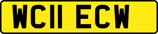 WC11ECW