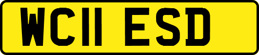 WC11ESD