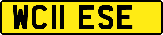 WC11ESE