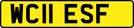 WC11ESF